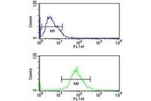 AIM2 antibody flow cytometric analysis of MCF-7 cells (green) compared to a negative control (blue). (AIM2 抗体  (AA 1-50))