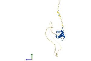 Protein Structure (PS) image for H1 Histone Family, Member 0 (H1F0) (AA 1-194) protein (His tag) (ABIN7562832)