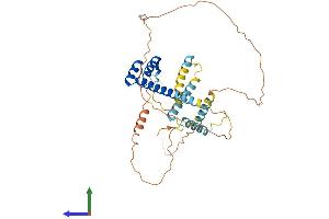 AlphaFold protein structure predicition of Mouse Recombinant Dmbx1 Protein, UniprotID Q91ZK4