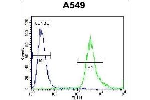 Flow Cytometry (FACS) image for anti-Solute Carrier Family 25 (Mitochondrial Carrier, Adenine Nucleotide Translocator), Member 6 (SLC25A6) (AA 128-155) antibody (ABIN656122)