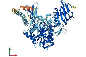 Protein Structure (PS) image for UDP-Glucose Pyrophosphorylase 2 (UGP2) (AA 1-508) protein (His tag) (ABIN7544927)