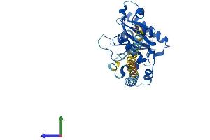 AlphaFold protein structure predicition of Mouse Recombinant Gimap1 Protein, UniprotID P70224 (GTPase, IMAP Family Member 1 (GIMAP1) (AA 1-277) protein (His tag))