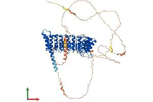 Protein Structure (PS) image for Protein Phosphatase 1, Regulatory Subunit 37 (PPP1R37) (AA 1-712) protein (His tag) (ABIN7558725)