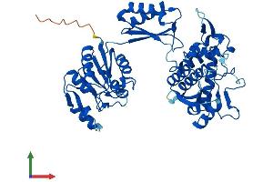 AlphaFold protein structure predicition of Mouse Recombinant Flad1 Protein, UniprotID Q8R123