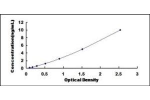 Typical standard curve (CD72 ELISA 试剂盒)