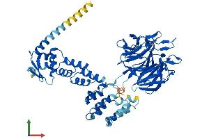 Protein Structure (PS) image for Kelch-Like 7 (KLHL7) (AA 1-586) protein (His tag) (ABIN7548827)