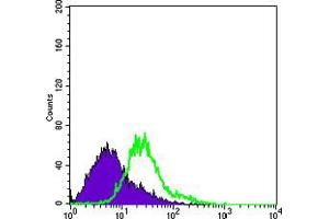 Flow cytometric analysis of Hela cells using BCL10 mouse mAb (green) and negative control (purple). (BCL10 抗体)