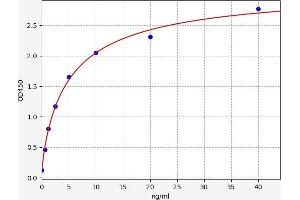 Typical standard curve (RECK ELISA 试剂盒)
