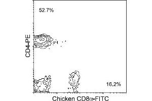 Flow Cytometry (FACS) image for anti-CD8 (CD8) antibody (FITC) (ABIN371426) (CD8 抗体  (FITC))