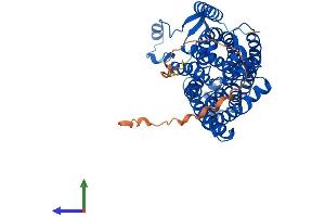 Protein Structure (PS) image for Rh Family C Glycoprotein (RHCG) (AA 1-498) protein (His tag) (ABIN7561754)