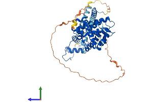 AlphaFold protein structure predicition of Mouse Recombinant Nr1h3 Protein, UniprotID Q9Z0Y9