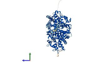 AlphaFold protein structure predicition of Mouse Recombinant Mmel1 Protein, UniprotID Q9JLI3