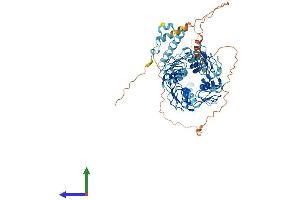 AlphaFold protein structure predicition of Human Recombinant ZNF135 Protein, UniprotID P52742