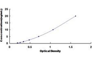 Typical standard curve (SNX13 ELISA 试剂盒)