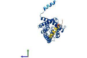 Protein Structure (PS) image for Aquaporin 3 (Gill Blood Group) (AQP3) (AA 1-292) protein (His tag) (ABIN7552261)