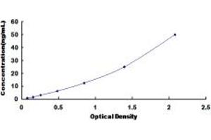 Typical standard curve (SCARA3 ELISA 试剂盒)