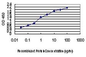 ELISA image for anti-Splicing Factor Proline/glutamine-Ric (SFPQ) (AA 269-361) antibody (ABIN562836)