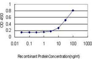 Detection limit for recombinant GST tagged F11 is approximately 10ng/ml as a capture antibody. (Factor XI 抗体  (AA 286-385))