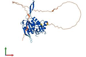 Protein Structure (PS) image for Uracil phosphoribosyltransferase (FUR1) Homolog (UPRT) (AA 1-309) protein (His tag) (ABIN7544971)