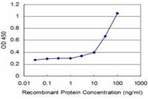 Detection limit for recombinant GST tagged TGIF2 is approximately 3ng/ml as a capture antibody. (TGIF2 抗体  (AA 131-236))