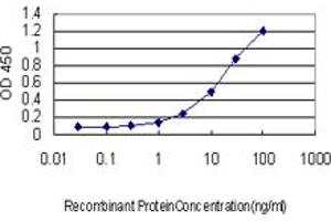 Detection limit for recombinant GST tagged NQO1 is approximately 0.