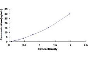 Typical standard curve (IGFBP2 ELISA 试剂盒)