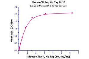 Binding Studies (Bind) image for Cytotoxic T-Lymphocyte-Associated Protein 4 (CTLA4) (AA 36-162) (Active) protein (His tag) (ABIN2870729)
