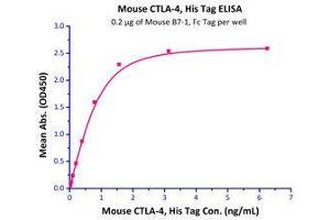 Immobilized Mouse B7-1, Fc Tag (Cat# CD0-M5259) at 2 μg/mL (100 µl/well),can bind Mouse CTLA-4, His Tag (Cat# CT4-M52H5) with a linear range of 0. (CTLA4 Protein (AA 36-162) (His tag))