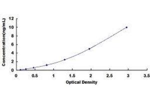 ELISA image for S100 Calcium Binding Protein A5 (S100A5) ELISA Kit (ABIN3156763) (S100A5 ELISA 试剂盒)