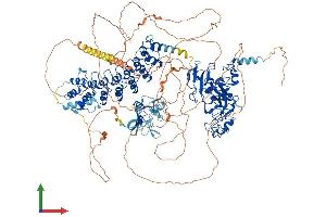 Protein Structure (PS) image for Ankyrin Repeat-Containing Protein (EHMT2) (AA 1-1263) protein (His tag) (ABIN7565268)