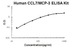 Human CCL7/MCP-3 PicoKine ELISA Kit standard curve (CCL7 ELISA 试剂盒)