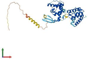 AlphaFold protein structure predicition of Mouse Recombinant Parvb Protein, UniprotID Q9ES46
