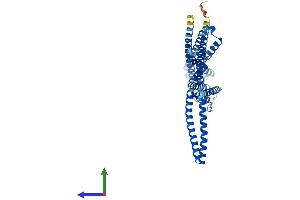 Protein Structure (PS) image for Potassium Intermediate/small Conductance Calcium-Activated Channel, Subfamily N, Member 4 (KCNN4) (AA 1-425) protein (His tag) (ABIN7562714)