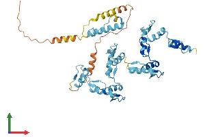 Protein Structure (PS) image for Zinc Finger Protein 557 (ZNF557) (AA 1-423) protein (His tag) (ABIN7545813)