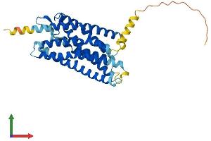 Protein Structure (PS) image for Cysteinyl Leukotriene Receptor 1 (CYSLTR1) (AA 1-337) protein (His tag) (ABIN7546634)