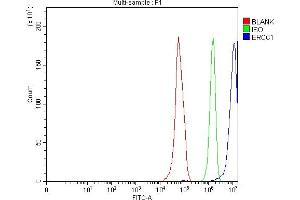 Flow Cytometry analysis of RT4 cells using anti-ERCC1 antibody (ABIN7602324).