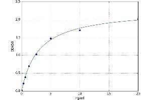 A typical standard curve (ABCC12 ELISA 试剂盒)