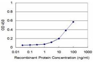Detection limit for recombinant GST tagged GHRL is approximately 3ng/ml as a capture antibody. (Ghrelin 抗体  (AA 24-117))