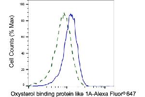 Validation of Oxysterol binding protein like 1A knockdown using flow cytometry. (Recombinant OSBPL1A 抗体)