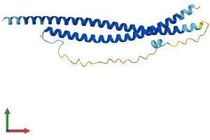 Protein Structure (PS) image for Synaptosomal-Associated Protein, 25kDa (SNAP25) (AA 1-206) protein (His tag) (ABIN7556565)