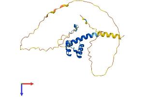 HOXB6 Protein (AA 1-224) (His tag)