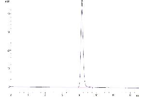 The purity of Mouse CYTL1/C17 is greater than 95 % as determined by SEC-HPLC.