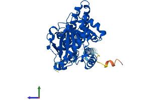 Protein Structure (PS) image for 1-Acylglycerol-3-Phosphate O-Acyltransferase 4 (AGPAT4) (AA 1-378) protein (His tag) (ABIN7559586)