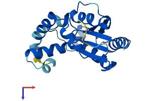 PMVK Protein (AA 1-192) (His tag)