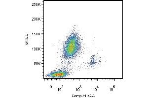 Surface staining of human peripheral blood leukocytes using anti-human CD14 (CD14 抗体  (APC))