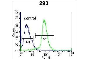 EPGN Antibody (N-term) (ABIN655189 and ABIN2844805) flow cytometric analysis of 293 cells (right histogram) compared to a negative control cell (left histogram). (Epigen 抗体  (N-Term))