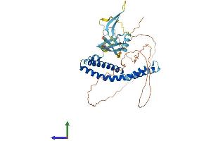Protein Structure (PS) image for Elongation Factor RNA Polymerase II-Like 3 (ELL3) (AA 1-395) protein (His tag) (ABIN7564275)