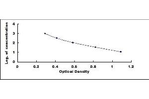 Typical standard curve (beta Endorphin ELISA 试剂盒)