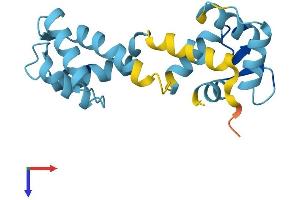 CABP5 Protein (AA 1-173) (His tag)
