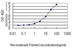 Detection limit for recombinant GST tagged SLC45A2 is approximately 0. (SLC45A2 抗体  (AA 1-243))